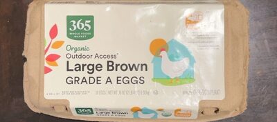 Large Brown Eggs